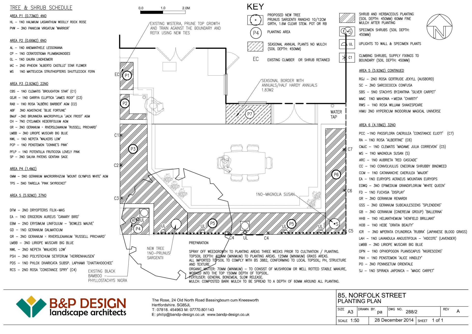 85 Norfolk St Planting Plan 85 Norfolk St Planting Plan